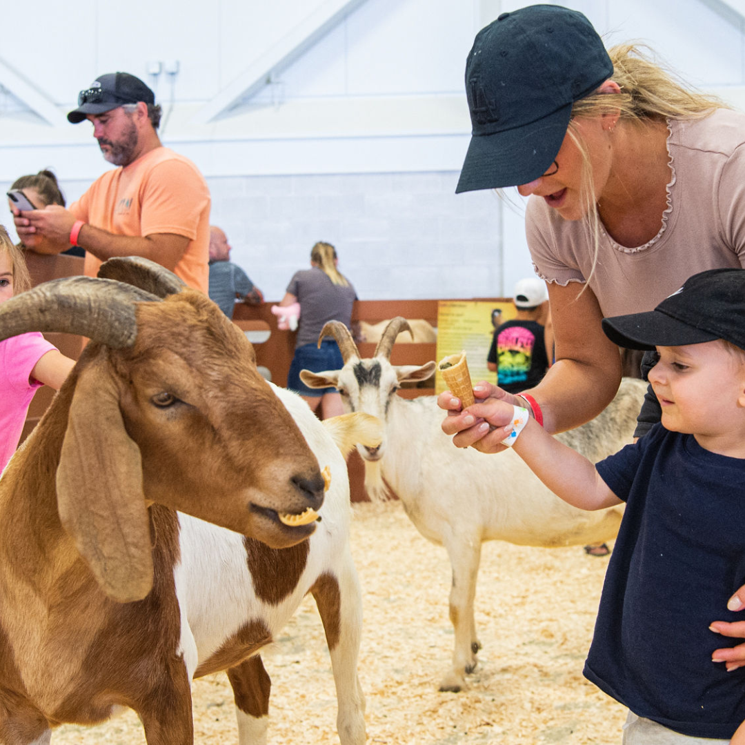 Icône Animaux de la ferme