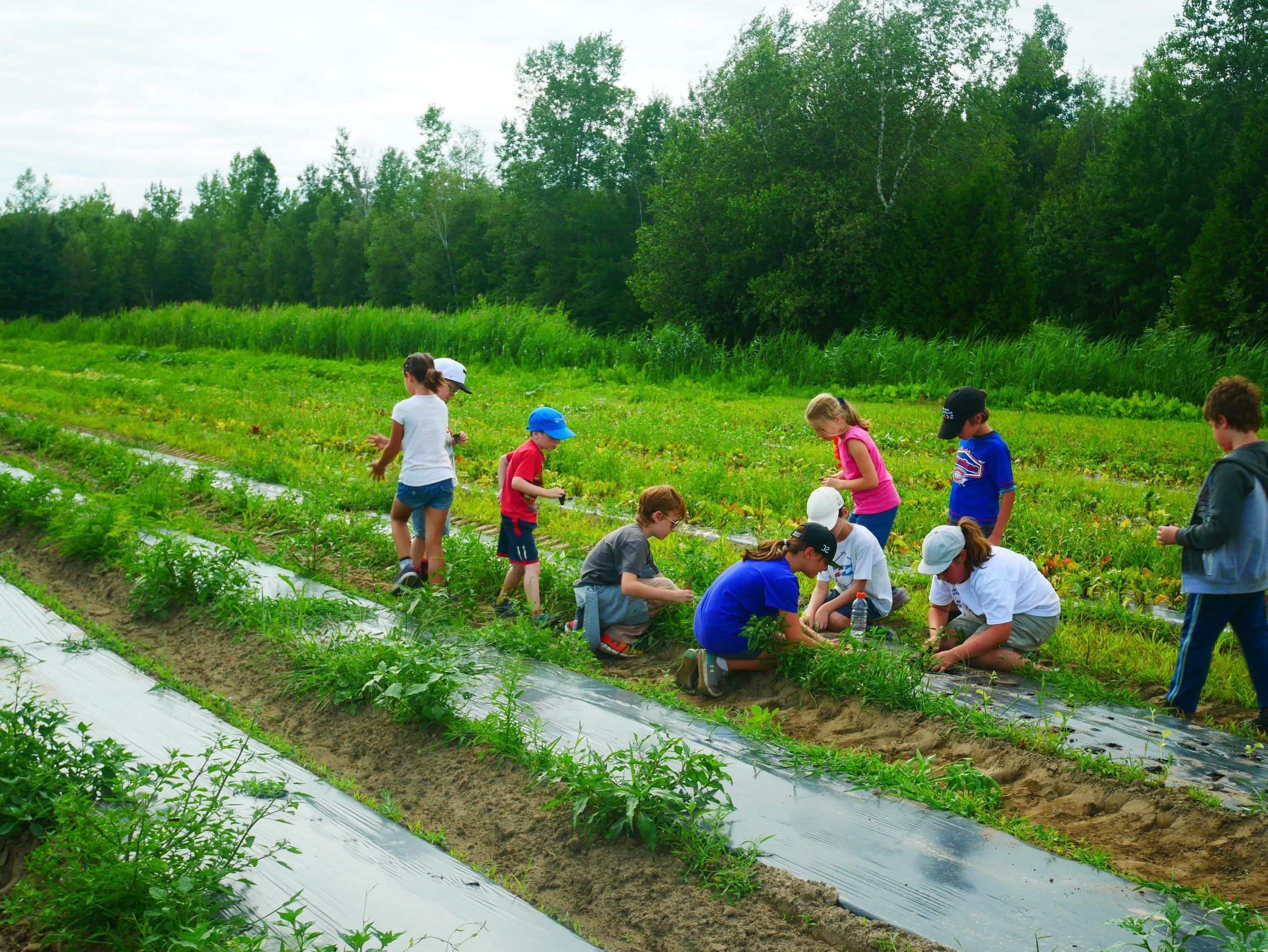 Un sol en santé, au cœur de notre agriculture