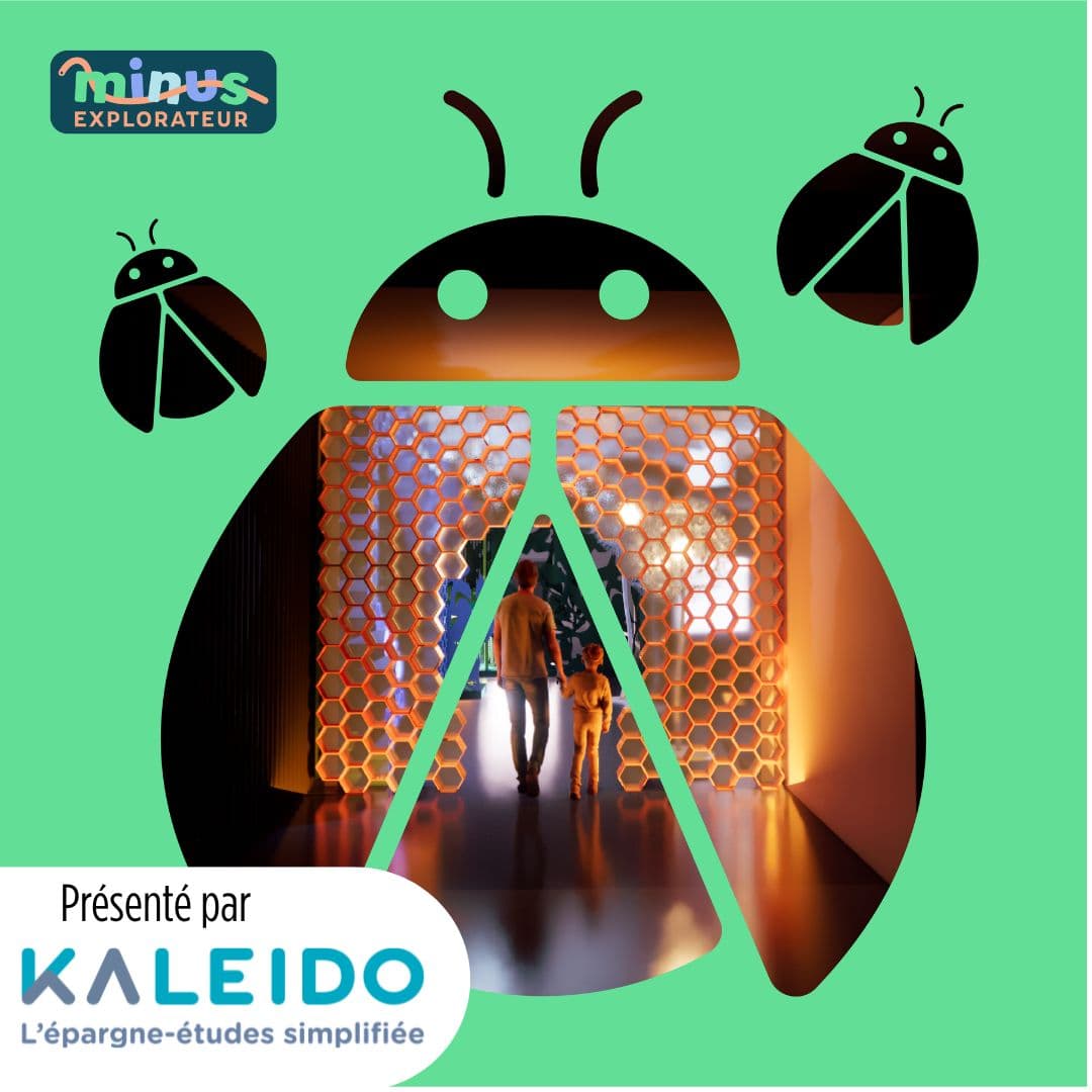 Minus explorateur – Présenté par Kaleido